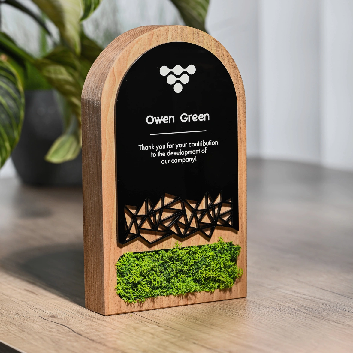 Wooden award with acrylic Moss v1