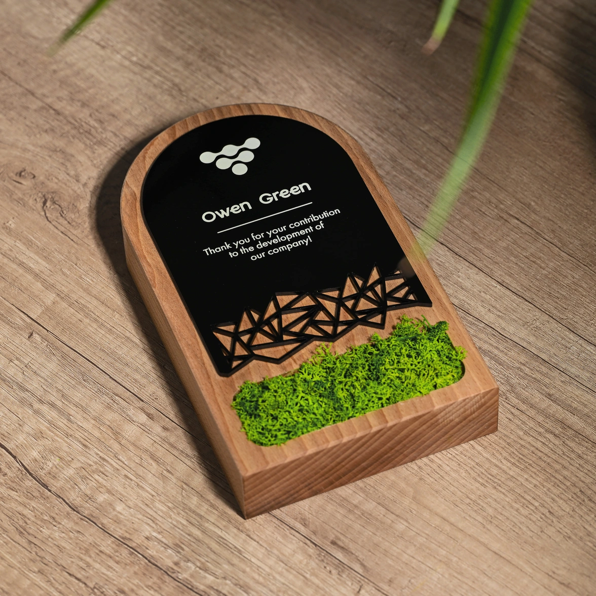 Wooden award with acrylic Moss v1