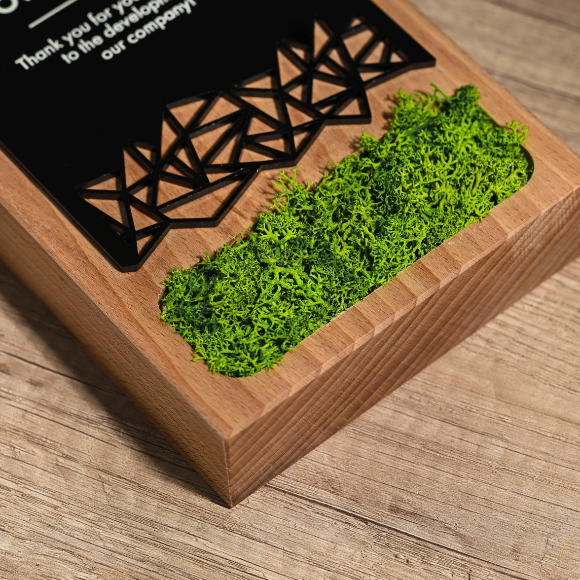 Wooden award with acrylic Moss v1